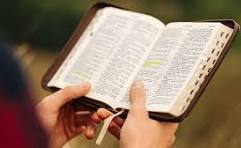 Person holding an open Bible outdoors, with a blurred natural background.